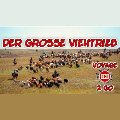 V2G-28: USA - Der große Viehtrieb V2G-28: USA - Der große Viehtrieb