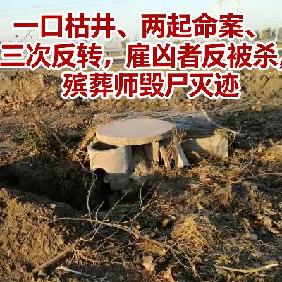 141.（下集）一口枯井、两起命案、三次反转，雇凶者反被杀，殡葬师毁尸灭迹