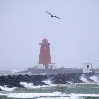 Status Yellow rain warning issued for five counties Status Yellow rain warning issued for five counties