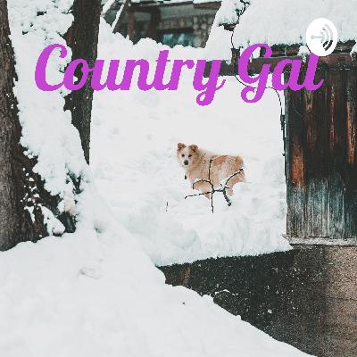 Dog rescue starting from beginning