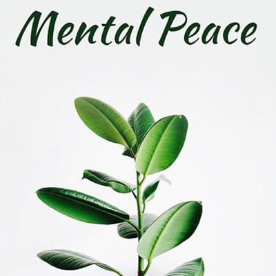Your Mental Peace is Important Your Mental Peace is Important