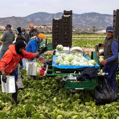 Mundo rural - Regularización de personas extranjeras y de su importancia para el campo - 30/01/26 Mundo rural - Regularización de personas extranjeras y de su importancia para el campo - 30/01/26