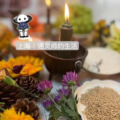 92:上海|通灵师的生活 92:上海|通灵师的生活