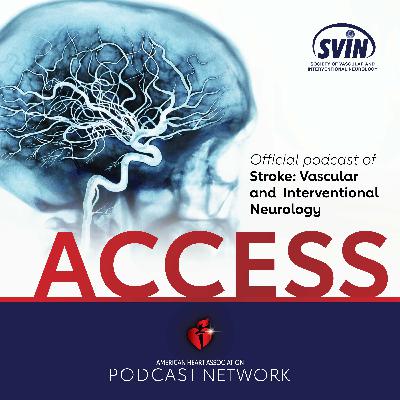 ACCESS S:VIN September 2025