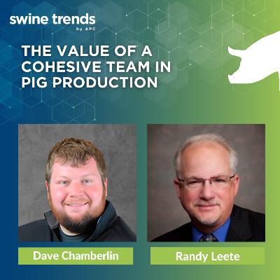 #SHORTS: The value of a cohesive team in pig production - Dave Chamberlin