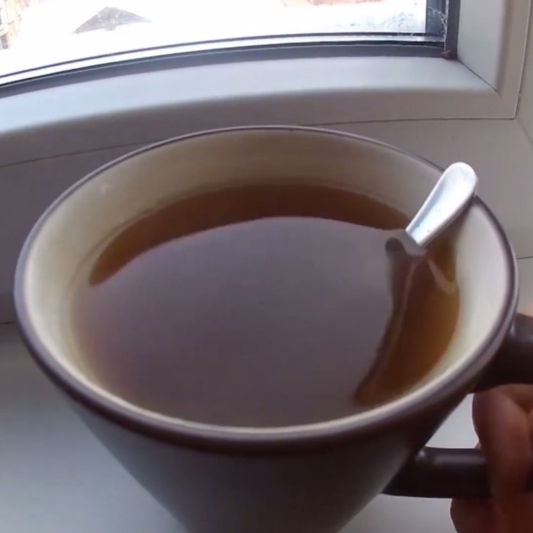 What they're NOT telling you about THIS Ayurvedic adaptogen 🇪🇺 Biohacker Review of Bacopa