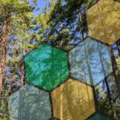 Episode 38 - The power of genetics and genomics: a closer look
