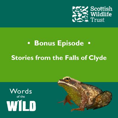Bonus episode 2: Stories from the Falls of Clyde