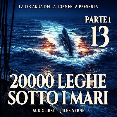 20000 Leghe sotto i mari - Parte 1 - Capitolo 13