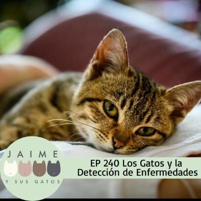 Ep 240 Los gatos y la detección de enfermedades