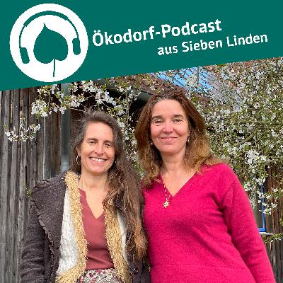 Folge 124: Gemeinsam Hinschauen! Kosha Joubert zur globalen Transformation.