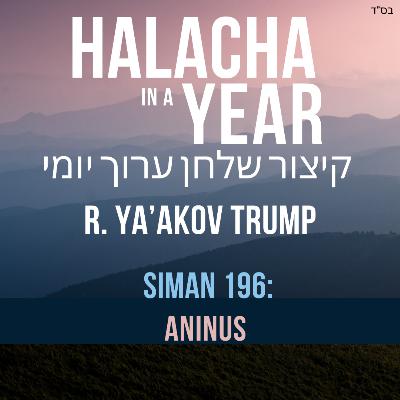 Siman 196 - Aninus
