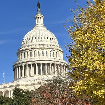 Some American People - XXXII - Washington, D.C., National Mall