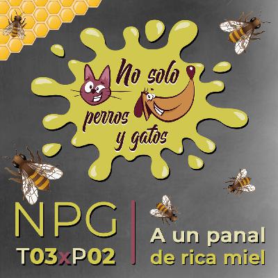No Solo Perros y Gatos T03xE02: A un panal de rica miel