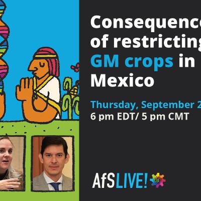 AfS Live - Consequences of restricting GM crops in Mexico AfS Live - Consequences of restricting GM crops in Mexico