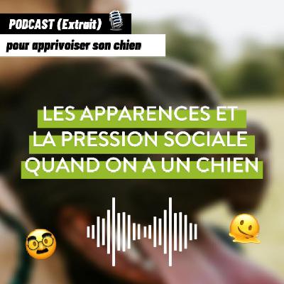 [S2 Ep1] Les apparences et la pression sociale quand on a un chien