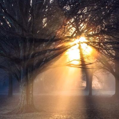 Episode 17: Portamento On Air #17 Episode 17: Portamento On Air #17