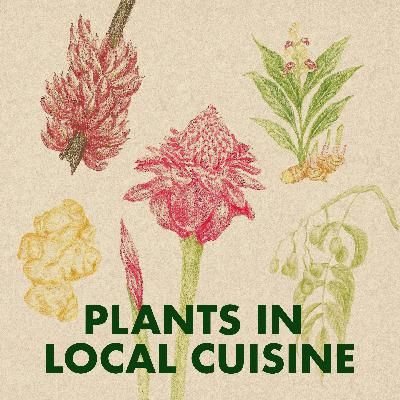 #13 Spice of Life | Plants in Local Cuisine