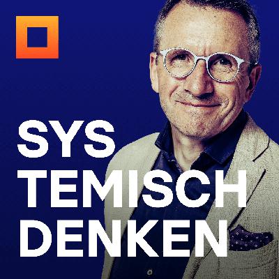 PSD 310 ANALYSEWERKZEUGE – warum NIKLAS LUHMANN die funktionale Analyse nutzt und warum sieben weitere Methoden (kausal, teleologisch, historisch, strukturell, hermeneutisch, kritisch, kybernetisch) dein Organisations-Denken schärfen.