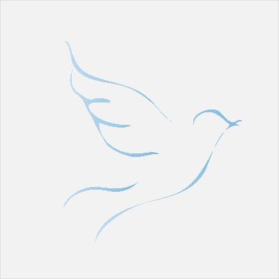 المسيحية القوية، رومى 1:8