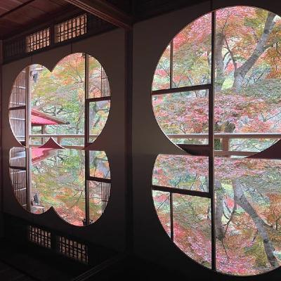 #84 一人旅って写真撮り忘れるよね分かる #84 一人旅って写真撮り忘れるよね分かる