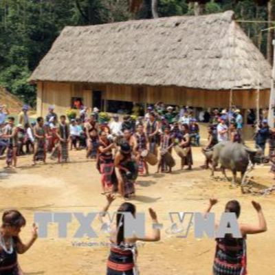 Co Tu ritual pays gratitude to forest