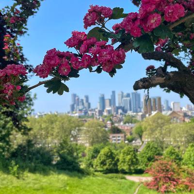 60.Due Passi per… i Parchi Reali di Londra 60.Due Passi per… i Parchi Reali di Londra