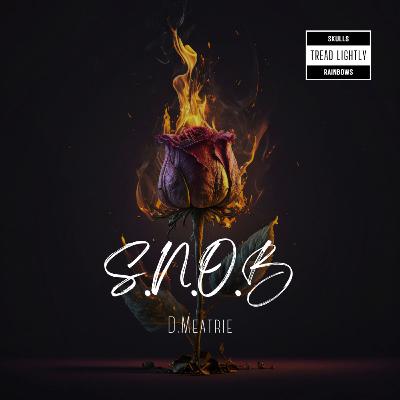 S.N.O. B (Pt. IV)