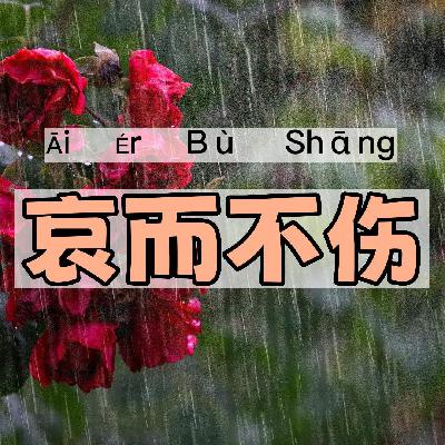 哀而不伤｜一一学语