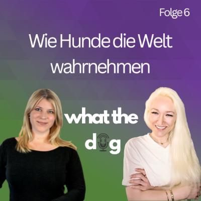 #6 Wie Hunde die Welt wahrnehmen