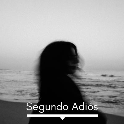 Segundo Adiós | Audio Poema