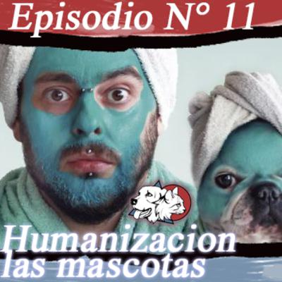 Episodio N°11 | Humanización de las mascotas