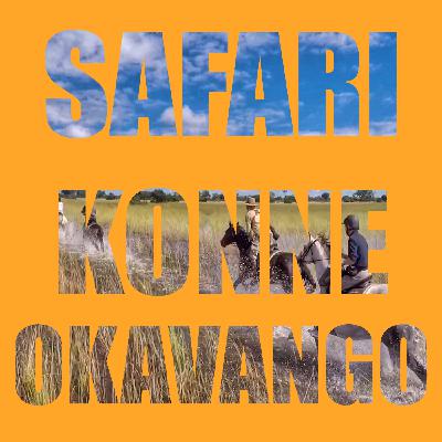 Safari konne w Delcie Okawango PL Safari konne w Delcie Okawango PL