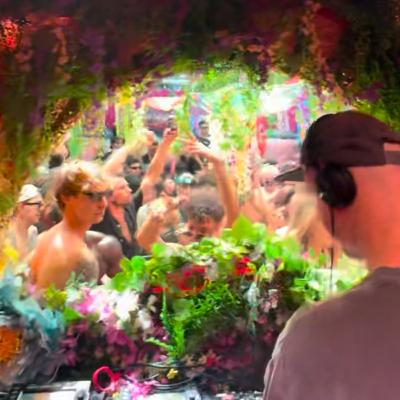 Cut Snake - Live at Sutra Sunrise (Sydney)