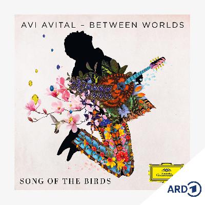 Album der Woche: Avi Avital & Between Worlds - Song of the Birds