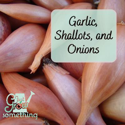 Garlic, Onions and Shallots: Your Fall Planting Guide - Ep. 272 Garlic, Onions and Shallots: Your Fall Planting Guide - Ep. 272