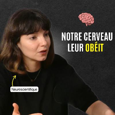 Pourquoi notre cerveau obéit à l’autorité | Samah Karaki