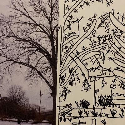 Episode 3: Parks and Housing