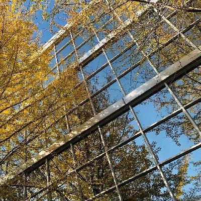 恍惚感觉,离过年也不远了 恍惚感觉,离过年也不远了