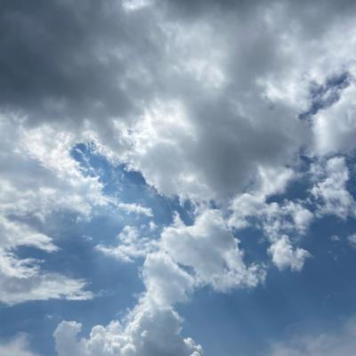 Especial Bajo la Lluvia
