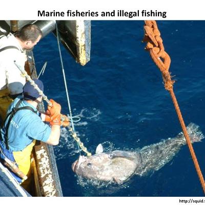 Part XVIII Marine Fisheries and Illegal Fishing