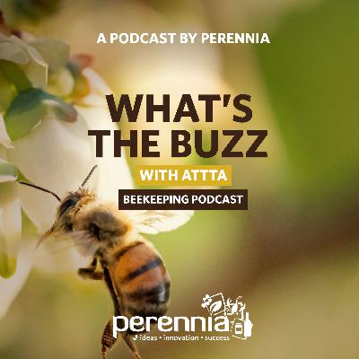 What’s the Buzz with ATTTA Beekeeping Podcast: Episode 3