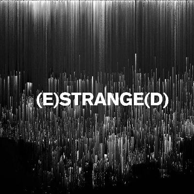 53 - 'The Ego Is a Mournful Being Constituted by Lack' (ft. Carlos Padrón) - 'Border'