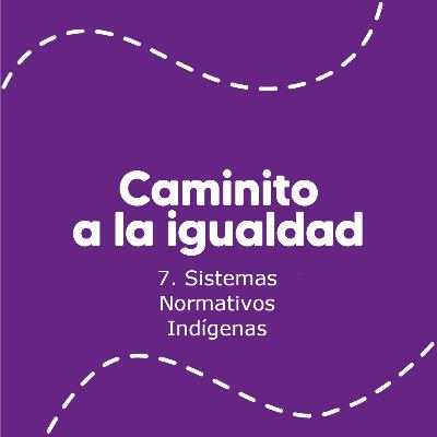 7. Sistemas Normativos Indígenas 7. Sistemas Normativos Indígenas