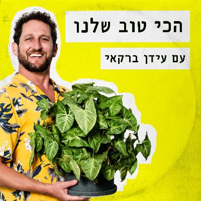 פרק 67 - שבור רגל פרק 67 - שבור רגל