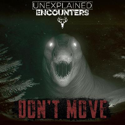 DON'T Drive Through the California Desert After Dark