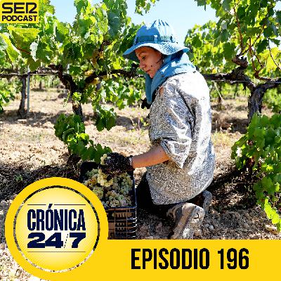 El vino cambia de sabor: la huella del cambio climático