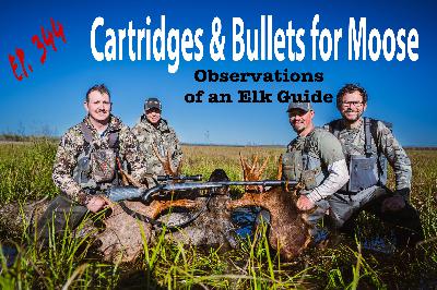 Cartridges & Bullets for Moose: Observations of an Elk Guide