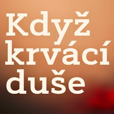 BRATRŮM A SESTRÁM ZA ZDÍ BRATRŮM A SESTRÁM ZA ZDÍ