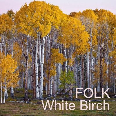 Folk Show - White Birch